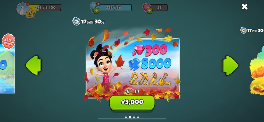 ルビー300個とコイン8000がセットになった課金アイテム購入画面