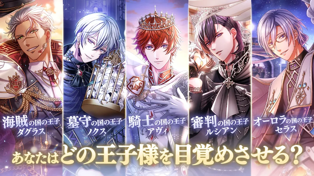 海賊の国、騎士の国など5つの国の王子様を紹介する画面